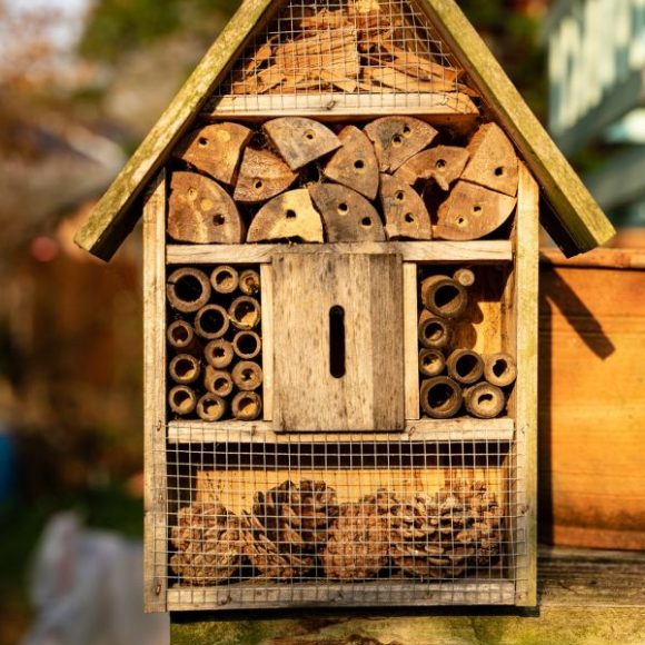 Neu dabei: “Wildbienenhotel selber bauen”
