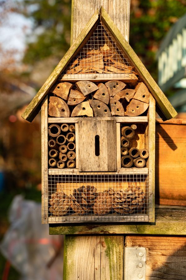 Neu dabei: “Wildbienenhotel selber bauen”